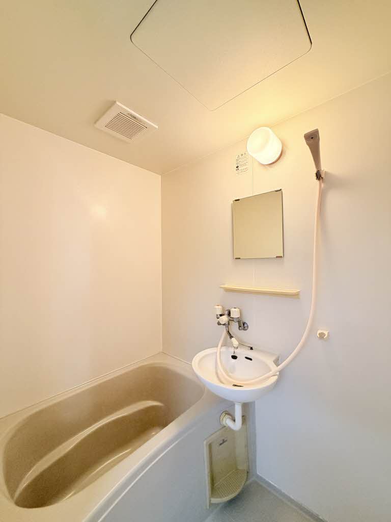 ヴァンティアン市川 209号-9