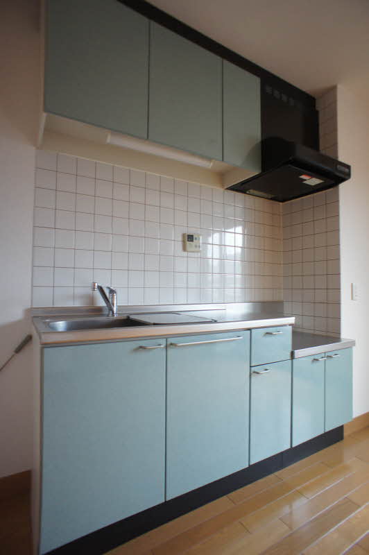 Ｗｉｌｌｉｎｇ 201号-10