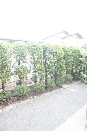 ブルゴーニュ 103号-10