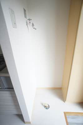 シャムロック 101号-2