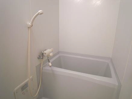 ドルフいなほ 105号-6