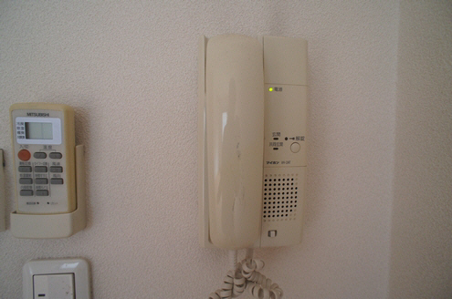 パピヨン南大井 111号-8