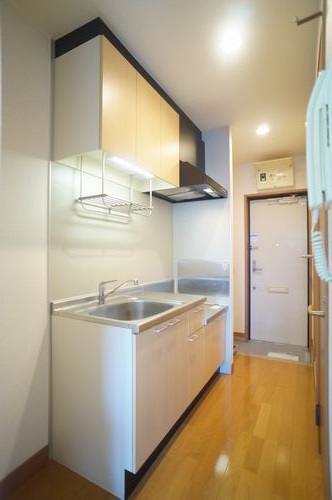 ダンデリオン 201号-9