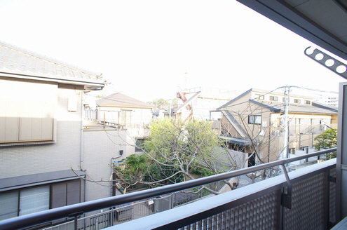 シルキーツリー 203号-11