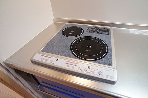 プルニエガーデン 301号-7