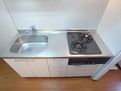 ディアス桜新町 203号-8