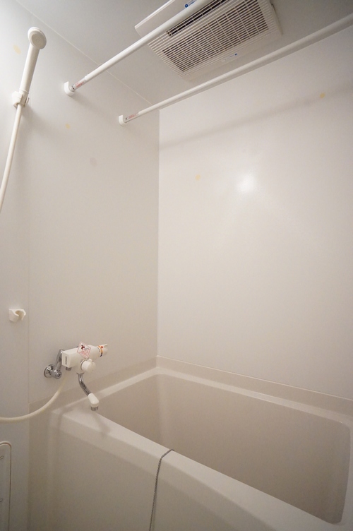 Ｔｈｉｎｅｈ　Ｆｌａｔ’ｓ（ティネフラッツ） 101号-9