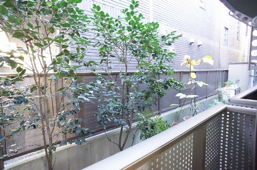 Ｔｈｉｎｅｈ　Ｆｌａｔ’ｓ（ティネフラッツ） 101号-13