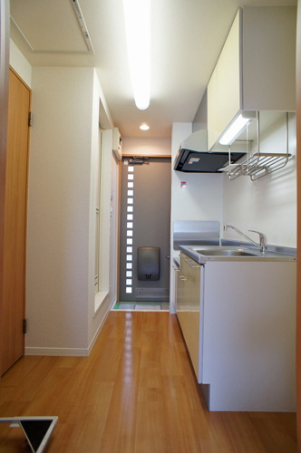 Ｓｕｎ　Ｈｅｉｍ　Ｈｉｋａｗａｄａｉ 206号-5