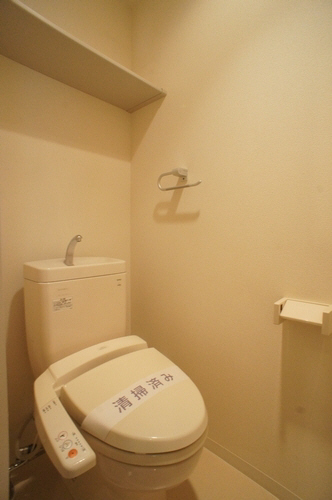 Ｐｌａｉｓｉｒ　Ｏｈｎｕｋｉ 202号-9