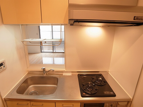 チェリーマンション 205号-6