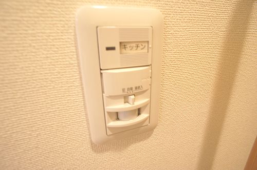 Grande Maison AYA 206号-9