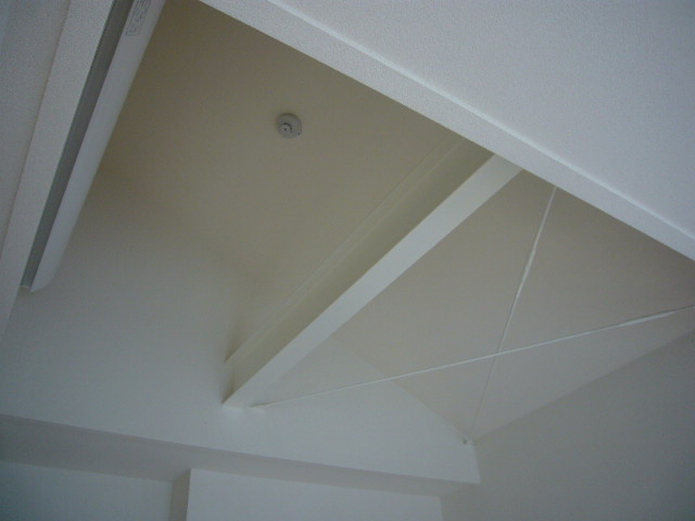 aile vert 206号-5