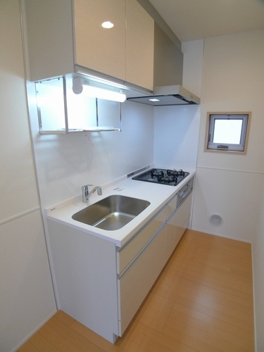 プルミエ川村 201号-5