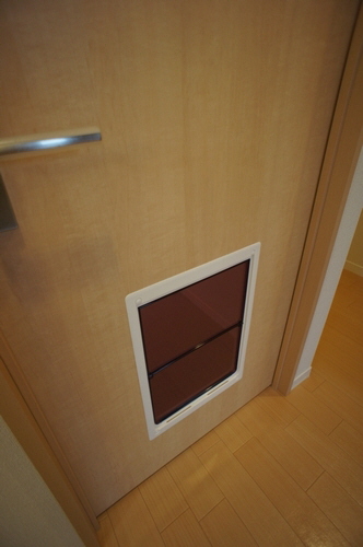 ブリーズガーデン経堂 203号-8