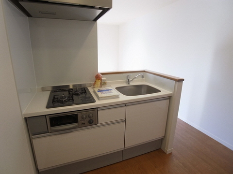 パークヴィレッジ吉祥寺 201号-4