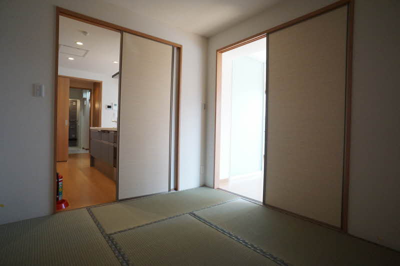 S forest Ⅱ 101号-5