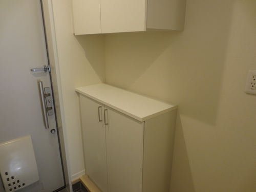 ADONIS Ⅱ 102号-10