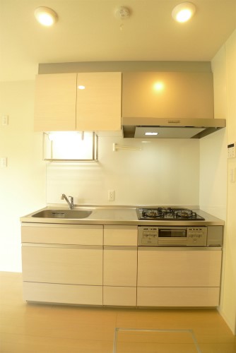 Ｐｒ’ｏｓｐｅｒｅｒ　Ｍａｉｓｏｎ 102号-4