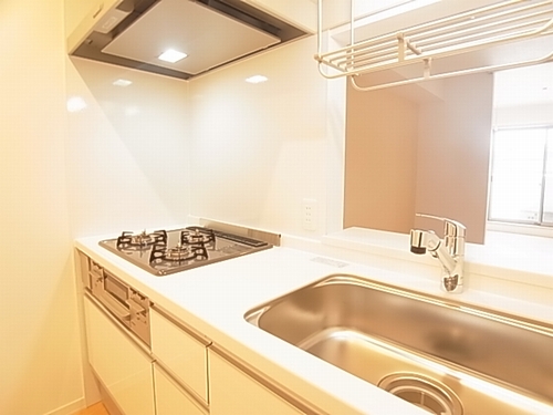 Ｂｌａｎｃｈｅｎｅｉｇｅ　Ａ 203号-7