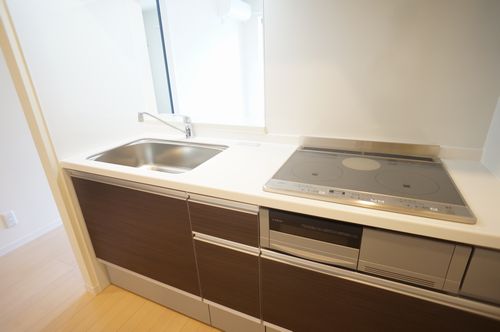 Lumiere新宿 303号-5