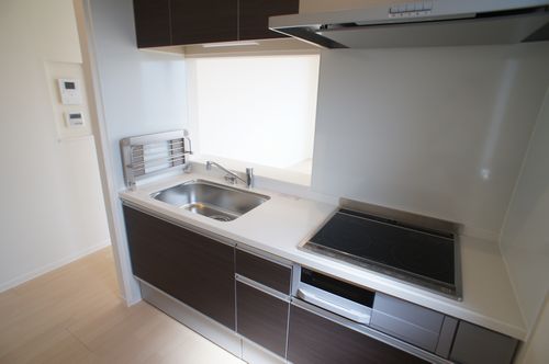 アリスティオ大南 201号-5