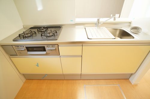 ヴェスタ西大島 101号-6