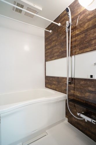 Ｐｌｕｍ　Ｈｉｌｌｓ　豪徳寺 302号-5