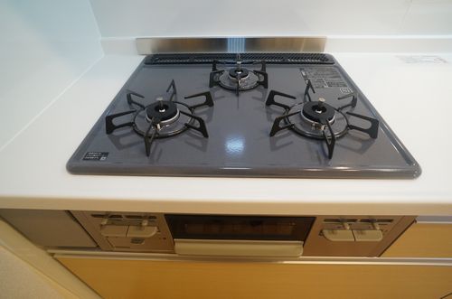 シャーメゾン成田東参番館 202号-5