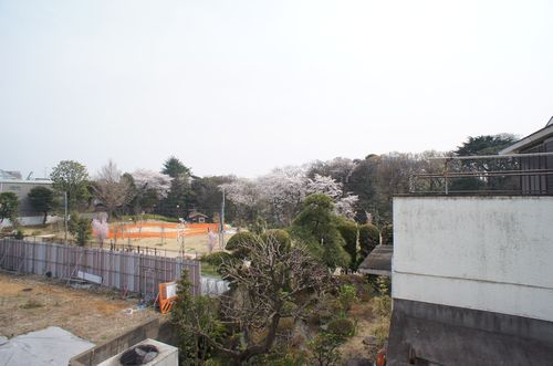 御留山テラス 202号-11