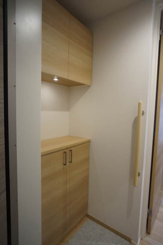 ベレオ弥生町 305号-10