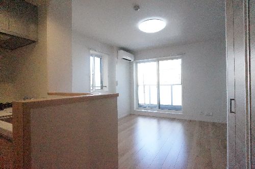 Ｃａｓｅｒｔａ 205号-2