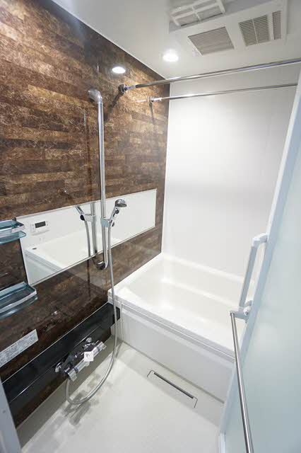 Ａｍｂｉｃｉａ　Ｄａｉｋｉ 102号-8