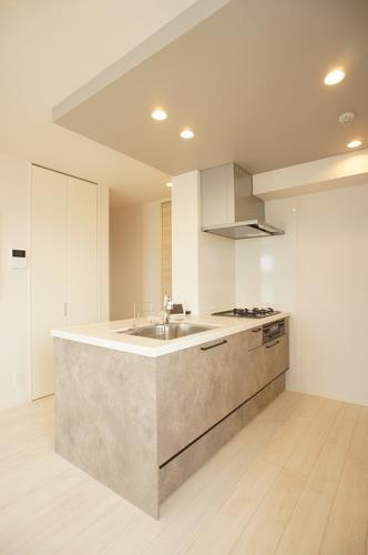 シャーメゾン ヴィステリオ 303号-4