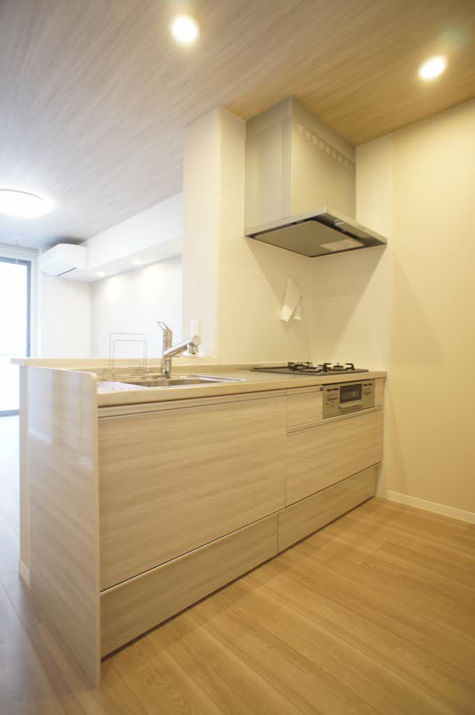 シャーメゾン ヌーヴェルメール 101号-4