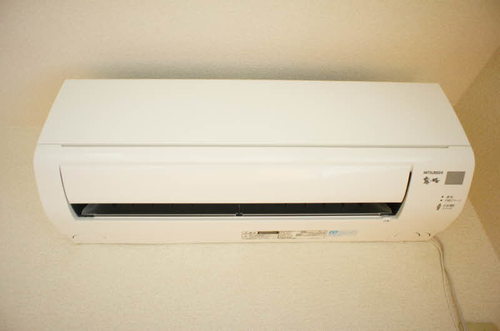 ゼルコバ　Ａ 102号-11