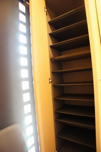 プレミール・Ｔ 105号-10