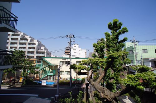 グランツ 203号-3