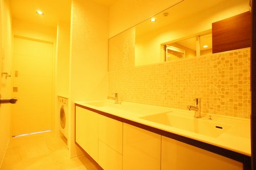 イルサン御殿山 302号-8