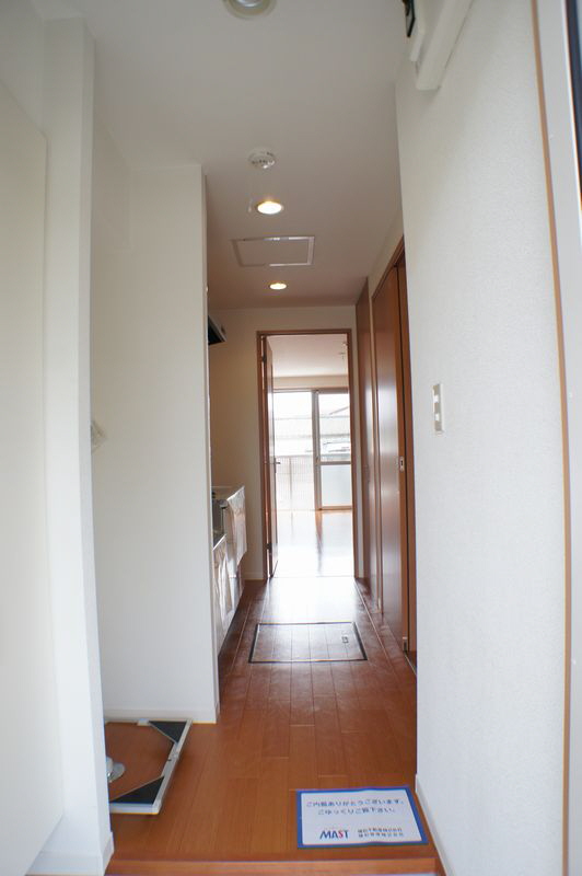 Amyris 207号-10
