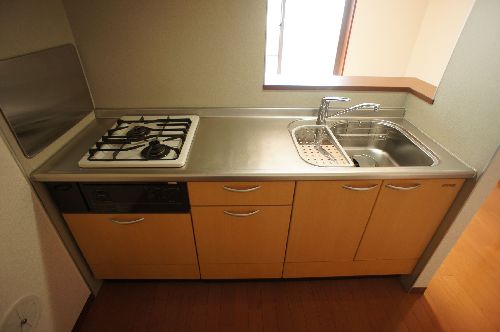 TERRA HOUSE 東大前 201号-3