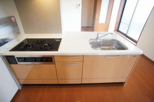 TERRA HOUSE 東大前 310号-4