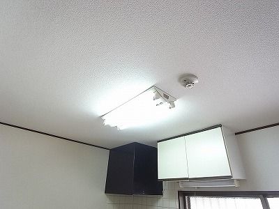 グリーンハイム 203号-10