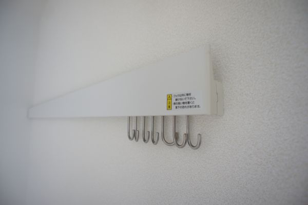 Ｌｕａｎａ 103号-13