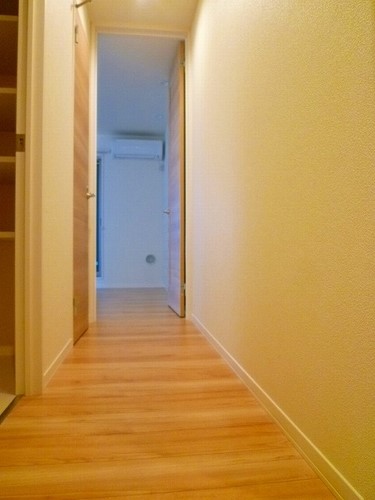 プルラフィーネ 301号-11