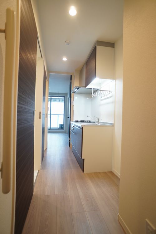 Ｌａｕｌｅａ 102号-4