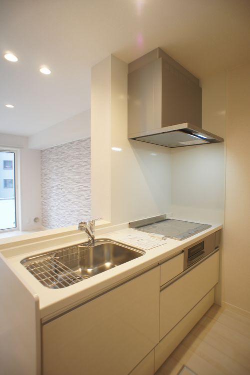 Ｖｉｔａ　Ｓｏｌｅ　Ａｎｎｏ A11号-4