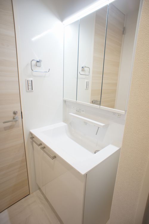 Ｖｉｔａ　Ｓｏｌｅ　Ａｎｎｏ A11号-8