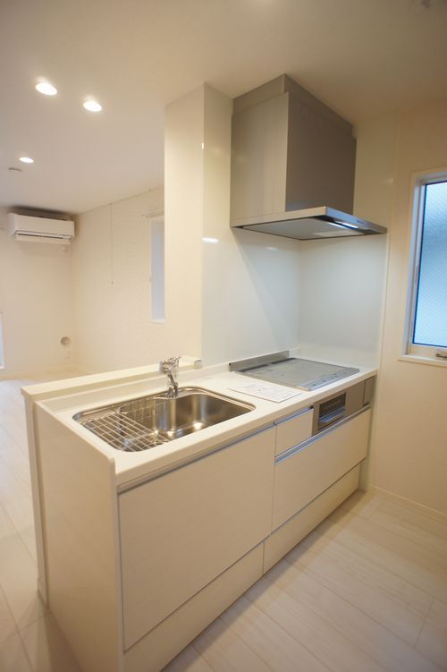 Ｖｉｔａ　Ｓｏｌｅ　Ａｎｎｏ A23号-4