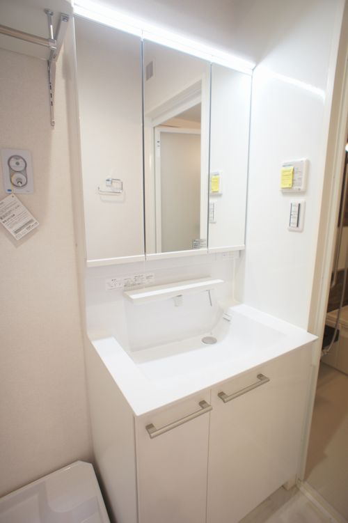 Ｖｉｔａ　Ｓｏｌｅ　Ａｎｎｏ A23号-8